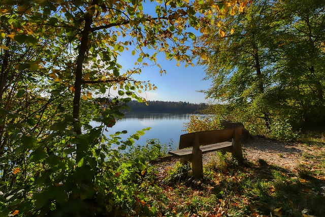 管理层延续 管理层延续