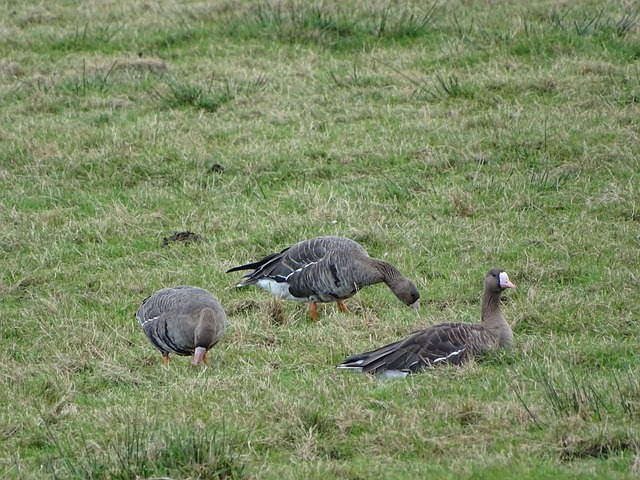 功秘诀到底 功秘诀到底