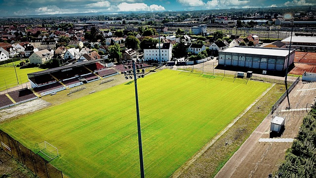 在这神圣的 在这神圣的